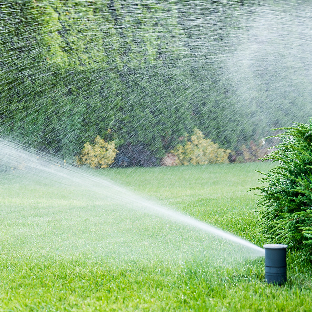 lawn watering system
