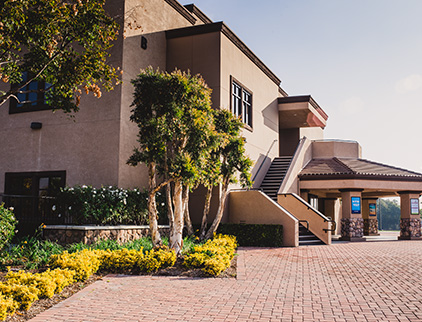 landscaped office